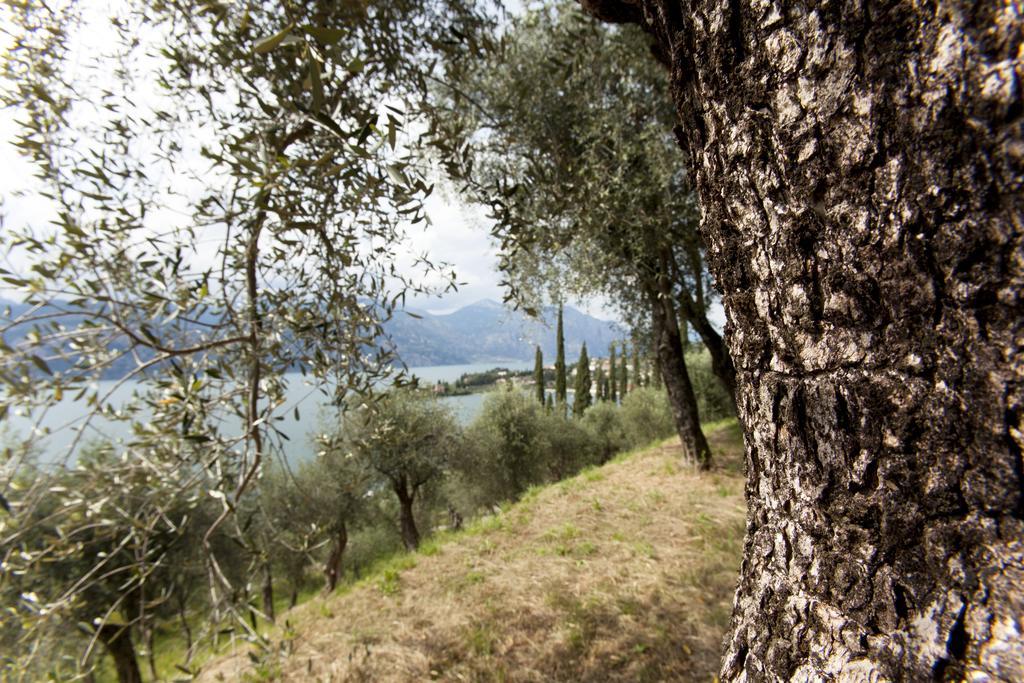 Residence Le Balze Malcesine Eksteriør billede